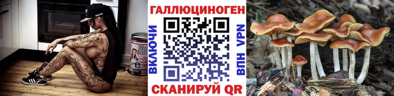 Галлюциногенные грибы Psilocybine cubensis  Купить где  Назрань 